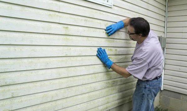 High-Quality Siding Services in Overland Park