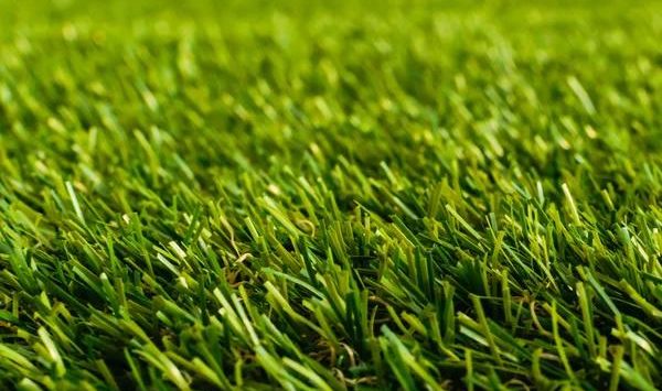 From Backyard to Putting Greens: Artificial Grass Options in Scottsdale