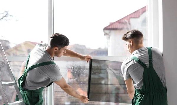 Long-Lasting Tints You Can Trust