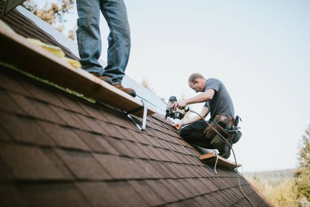 Trusted Roofing Solutions for Homes & Businesses