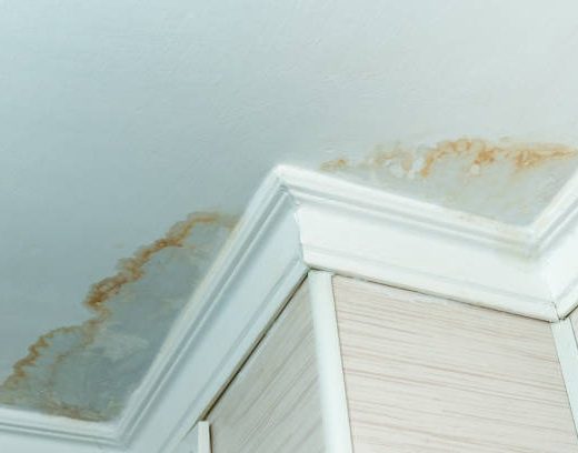 Professional Bathroom Design and Renovation Services for Modern Homes