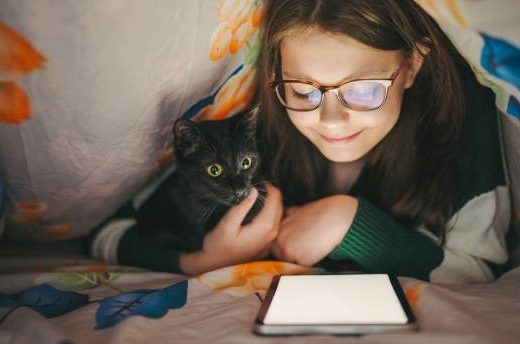 Mastering Fire and Combustion What You’ll Learn from the 2nd Edition Textbook