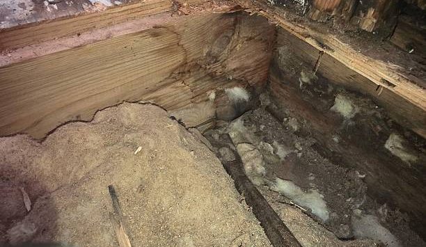 Crawlspace Waterproofing in Wilmington for Flood Prevention