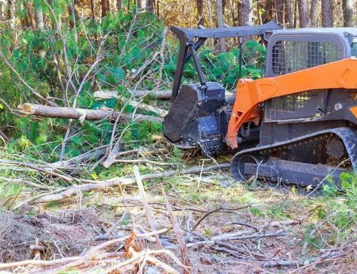 Tree Maintenance Made Easy with Codys Tree Service South Lake Tahoe
