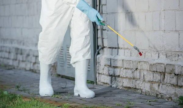 Patriot Pest Control for Long Lasting Pest Protection